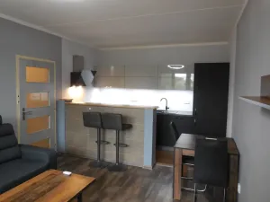 Pronájem bytu 2+kk, Borovany, Třeboňská, 47 m2