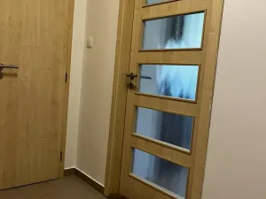 Pronájem bytu 1+kk, Praha - Nusle, Doudlebská, 29 m2