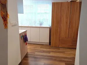 Pronájem bytu 2+kk, České Budějovice, Opatovická, 43 m2