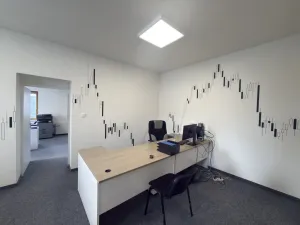 Pronájem kanceláře, České Budějovice - České Budějovice 6, Žižkova tř., 338 m2