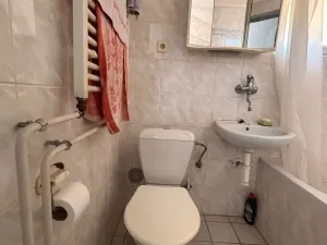 Pronájem bytu 1+1, České Budějovice, E. E. Kische, 50 m2