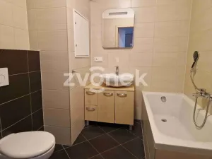 Pronájem bytu 2+kk, Uherské Hradiště, Zahrádky, 49 m2
