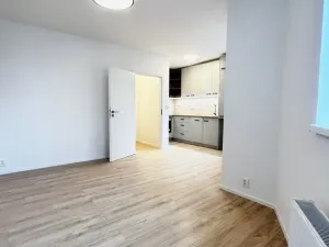 Pronájem bytu 1+kk, Opava, 25 m2