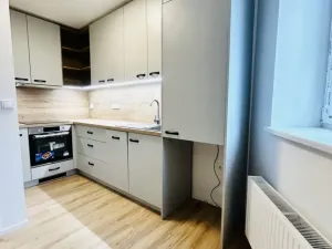 Pronájem bytu 1+kk, Opava, 25 m2