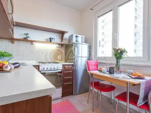 Pronájem bytu 1+1, Kralupy nad Vltavou - Lobeček, Třebízského, 34 m2