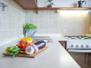 Pronájem bytu 1+1, Kralupy nad Vltavou - Lobeček, Třebízského, 34 m2