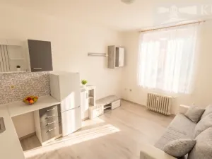 Pronájem bytu 1+kk, Příbram, Mariánská, 20 m2