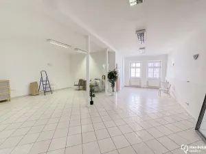 Pronájem komerční nemovitosti, Olomouc, Ostružnická, 84 m2