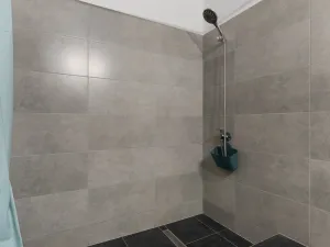 Prodej vícegeneračního domu, Bouzov - Kozov, 220 m2