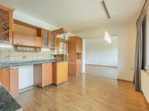 Prodej vícegeneračního domu, Hustopeče, Školní, 229 m2