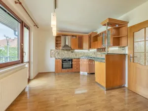 Prodej vícegeneračního domu, Hustopeče, Školní, 229 m2