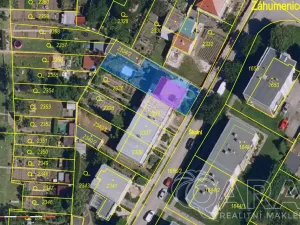 Prodej vícegeneračního domu, Hustopeče, Školní, 229 m2