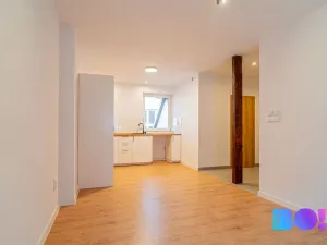 Pronájem bytu 2+kk, Český Těšín, Bezručova, 50 m2