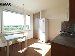 Pronájem bytu 1+1, Hradec Králové - Moravské Předměstí, Štefánikova, 36 m2