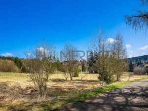 Prodej pozemku pro bydlení, Bedřichov, 1343 m2