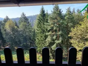 Prodej ubytování, Hřensko, 400 m2