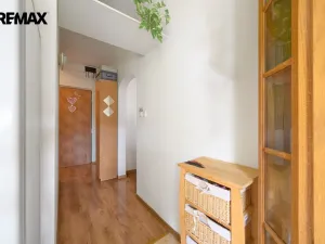 Prodej bytu 1+1, Hradec Králové - Pražské Předměstí, Jungmannova, 41 m2