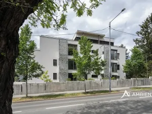 Pronájem bytu 4+kk, Brno, Lipová, 102 m2