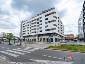 Prodej bytu 2+kk, Brno - Staré Brno, Nové sady, 80 m2