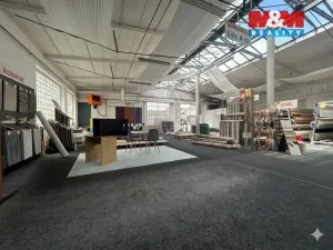Pronájem obchodního prostoru, Klatovy, Nádražní, 600 m2