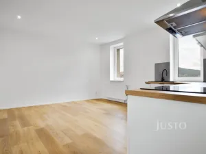 Pronájem bytu 2+kk, Děčín - Děčín IV-Podmokly, Plzeňská, 47 m2