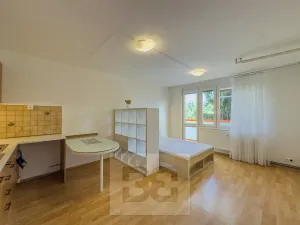 Pronájem bytu 1+kk, Praha - Horní Měcholupy, Ravennská, 30 m2