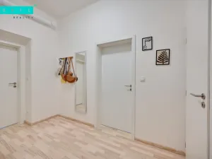 Pronájem bytu 1+1, Olomouc - Nové Sady, Rooseveltova, 65 m2
