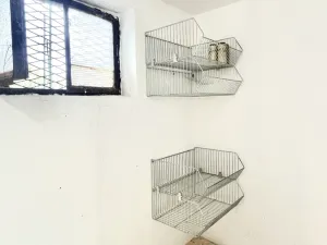 Prodej chaty, Ostrava - Martinov, 50 m2