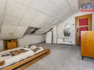 Prodej vícegeneračního domu, České Budějovice, Lidická tř., 286 m2
