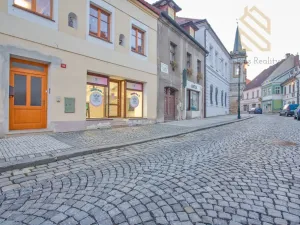 Prodej obchodního prostoru, Louny, Pivovarská, 55 m2