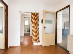 Prodej rodinného domu, Raná, 218 m2