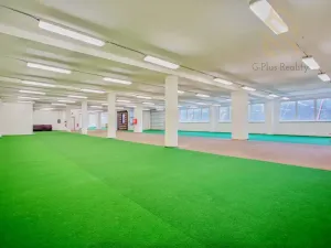 Pronájem obchodního prostoru, Roudnice nad Labem, 1200 m2