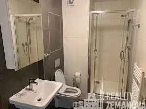 Pronájem bytu 1+kk, Praha - Michle, Hanusova, 38 m2
