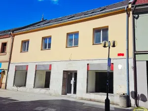 Pronájem obchodního prostoru, Přerov, Wilsonova, 599 m2