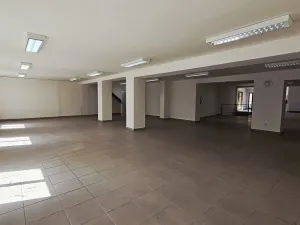 Pronájem obchodního prostoru, Přerov, Wilsonova, 599 m2