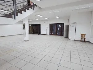 Pronájem obchodního prostoru, Přerov, Wilsonova, 599 m2