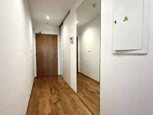 Pronájem bytu 1+kk, Praha, Malešická, 44 m2