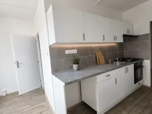 Pronájem bytu 2+1, Litvínov, Rooseveltova, 64 m2