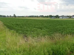 Prodej pozemku pro bydlení, Staré Hradiště, Psinek, 1435 m2