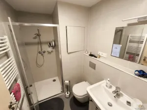 Pronájem bytu 1+kk, Olomouc, Eduarda Hamburgera, 31 m2