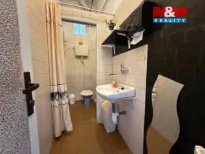 Pronájem obchodního prostoru, Karviná - Mizerov, Centrum, 32 m2
