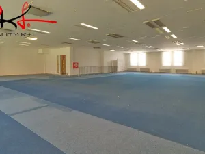 Pronájem obchodního prostoru, Lovosice, Osvoboditelů, 542 m2