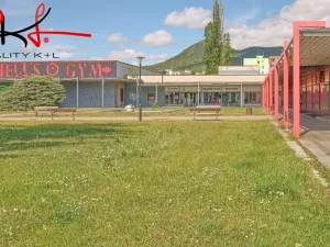 Pronájem obchodního prostoru, Lovosice, Osvoboditelů, 542 m2