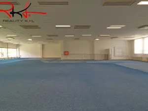 Pronájem obchodního prostoru, Lovosice, Osvoboditelů, 542 m2