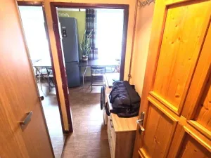 Pronájem bytu 1+1, Plzeň - Lobzy, Partyzánská, 30 m2