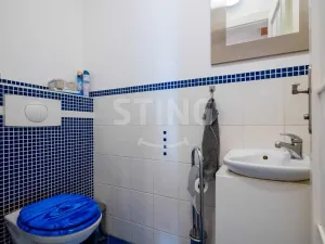Prodej rodinného domu, Chlebičov, 380 m2