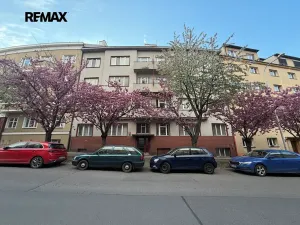 Pronájem bytu 1+kk, Praha - Dejvice, Koulova, 30 m2