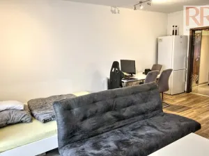 Pronájem bytu 1+kk, Plzeň, U Borských kasáren, 40 m2