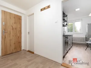 Pronájem bytu 1+1, Opava - Město, Solná, 33 m2