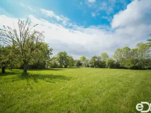 Prodej pozemku pro bydlení, Praskačka - Sedlice, 5013 m2